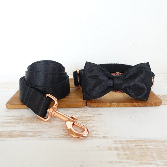 Stijlvolle hondenriem met halsband en elegante strik