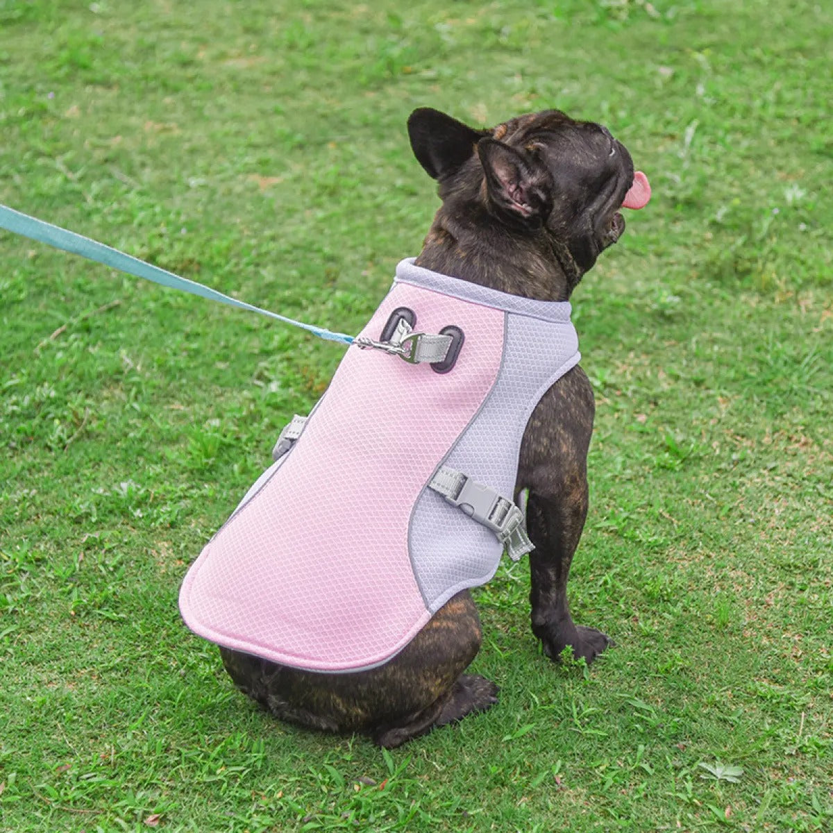 Ademend Koelvest voor Honden