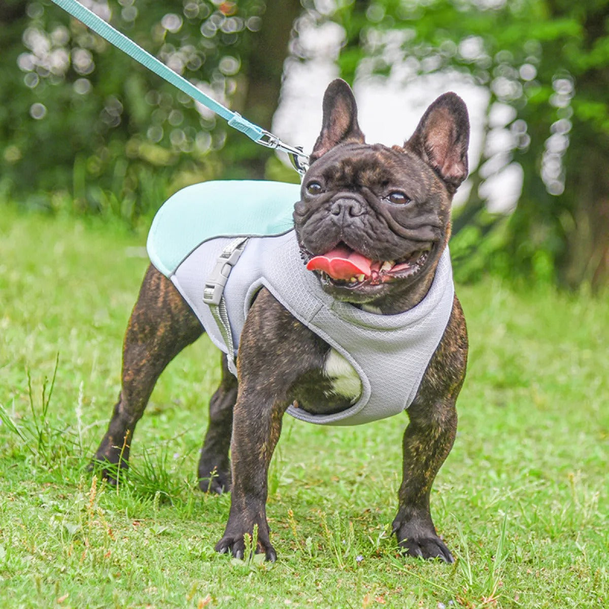 Ademend Koelvest voor Honden
