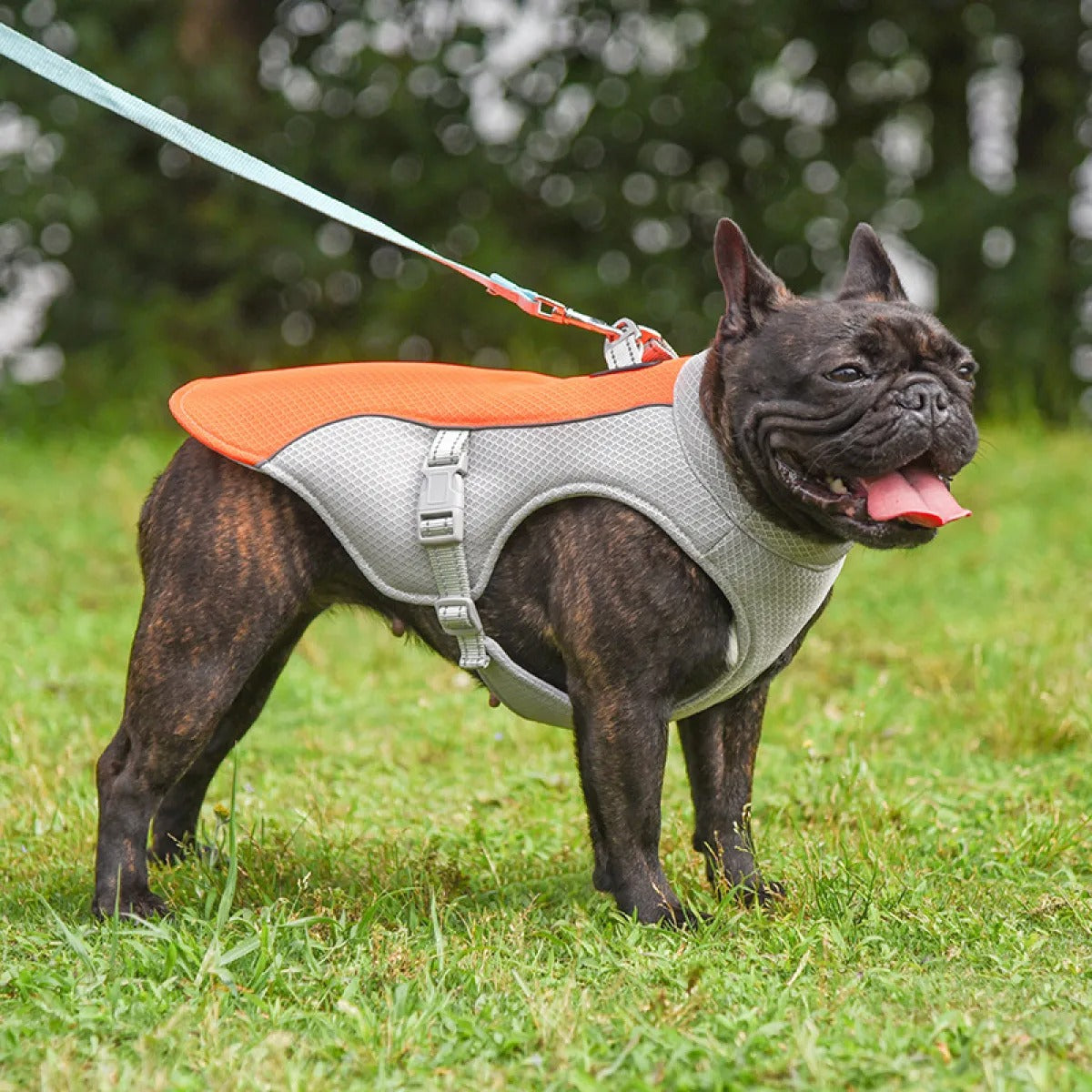Ademend Koelvest voor Honden